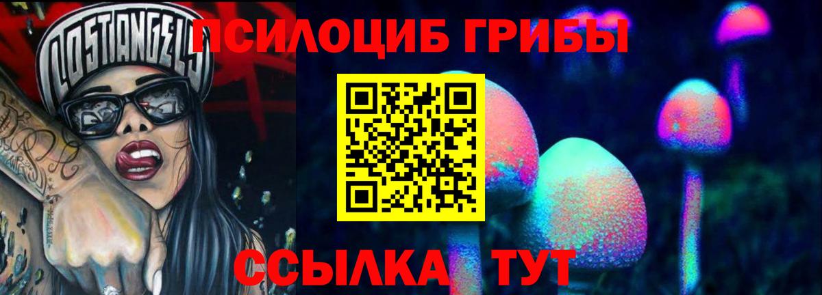 Галлюциногенные грибы GOLDEN TEACHER  Вход с VPN  Тверь 